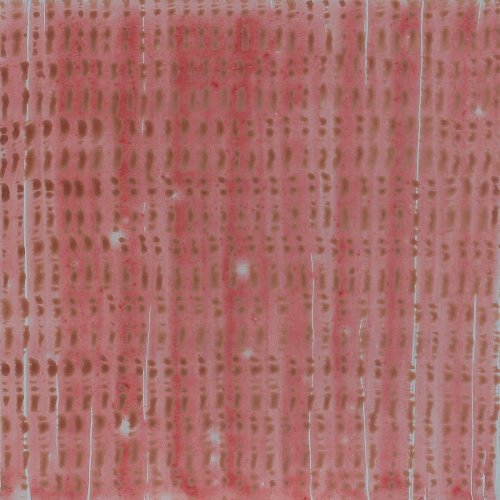 Wayne Vivier - Film image 99